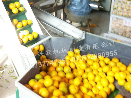 水果套袋機(jī) 水果套袋機(jī)